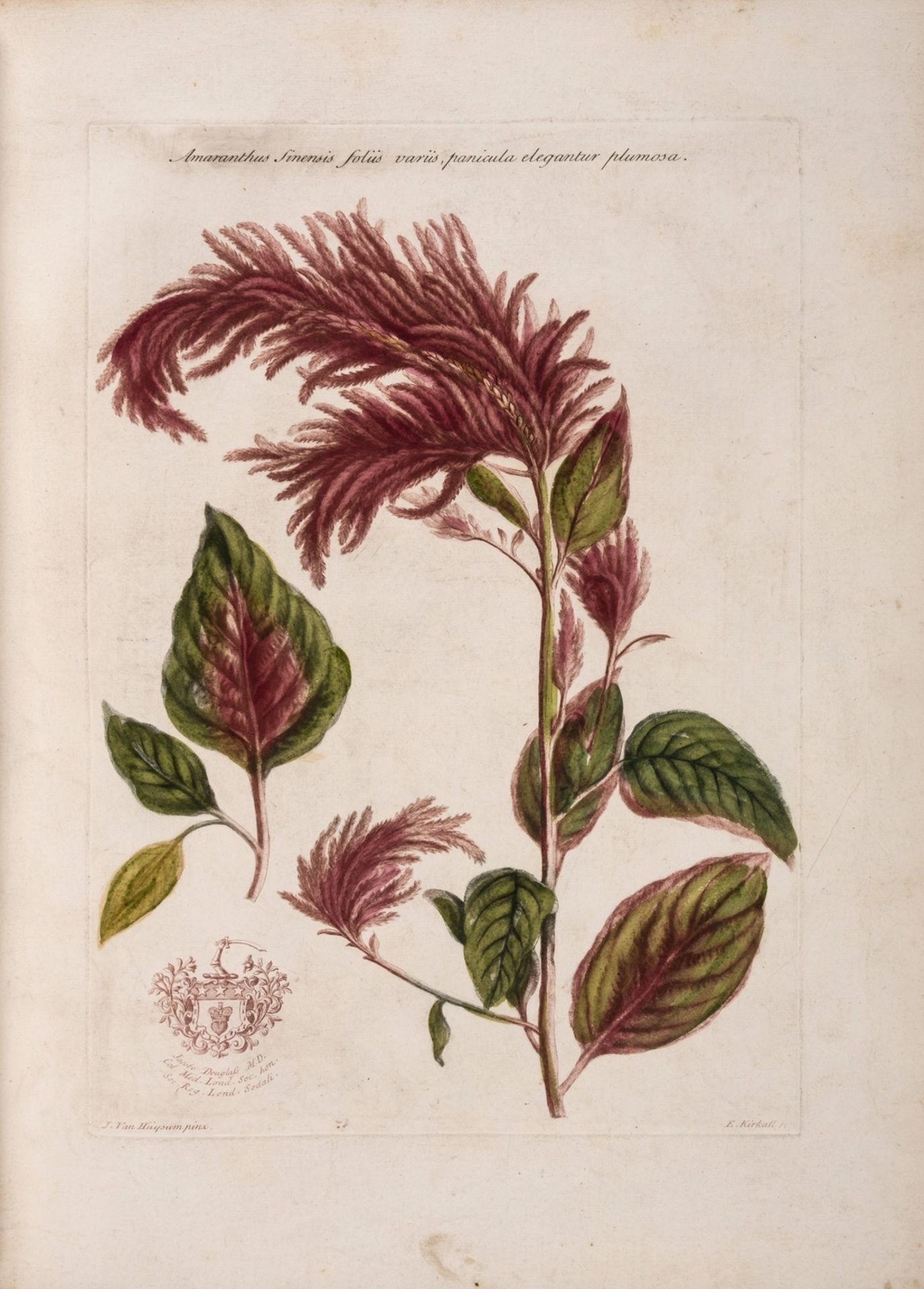 Botany.- Martyn (John) Historia Plantarum Rariorum, first edition, 1728 [-1787]. - Bild 2 aus 2