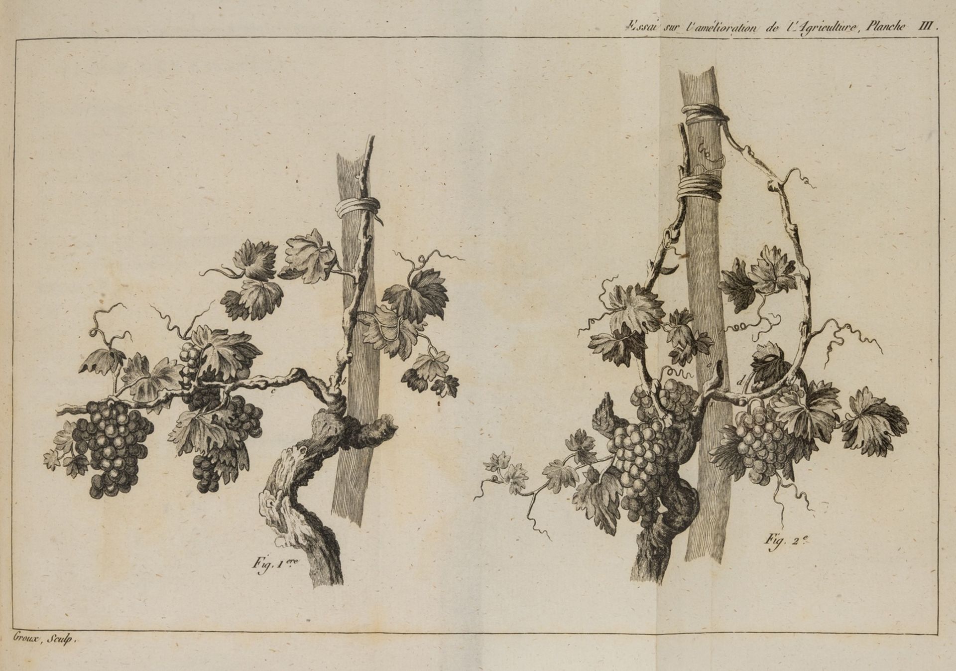 Agriculture & wine.- Costa de Beauregard (Joseph-Alexis) Essai sur l'amelioration de l'agriculture …