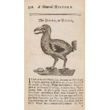 Birds.- New General History of Birds (A). Including the methods of Breeding, Managing, and …