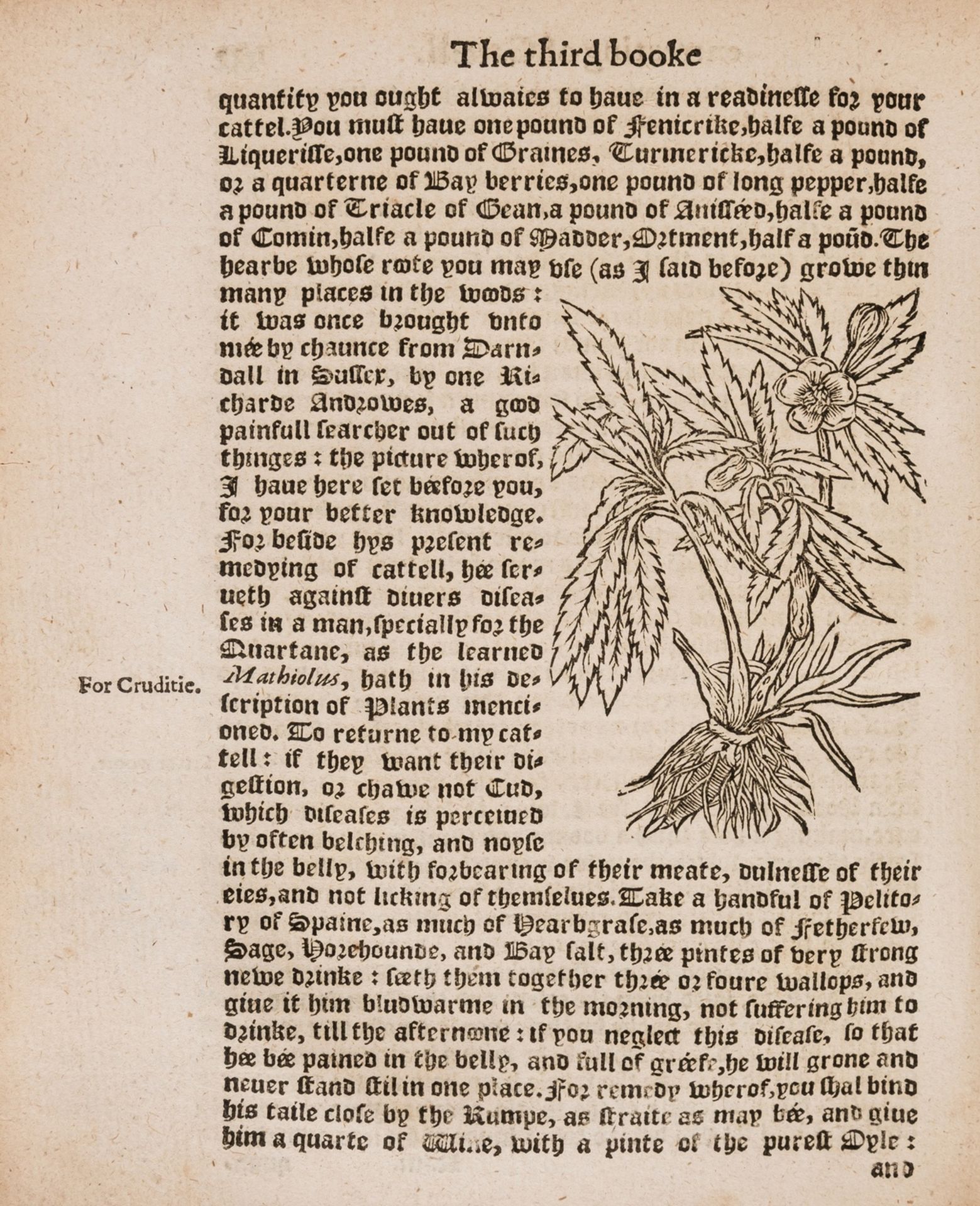 Bees.- Heresbach (Conrad) Foure Bookes of Husbandry, Printed for John Wright, 1578.
