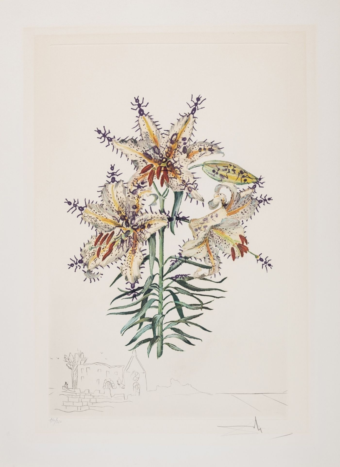 δ Salvador Dalí (1904-1989) Lilium auratium formicans, from Surrealistic Flowers (Field 72-7K; M&L …