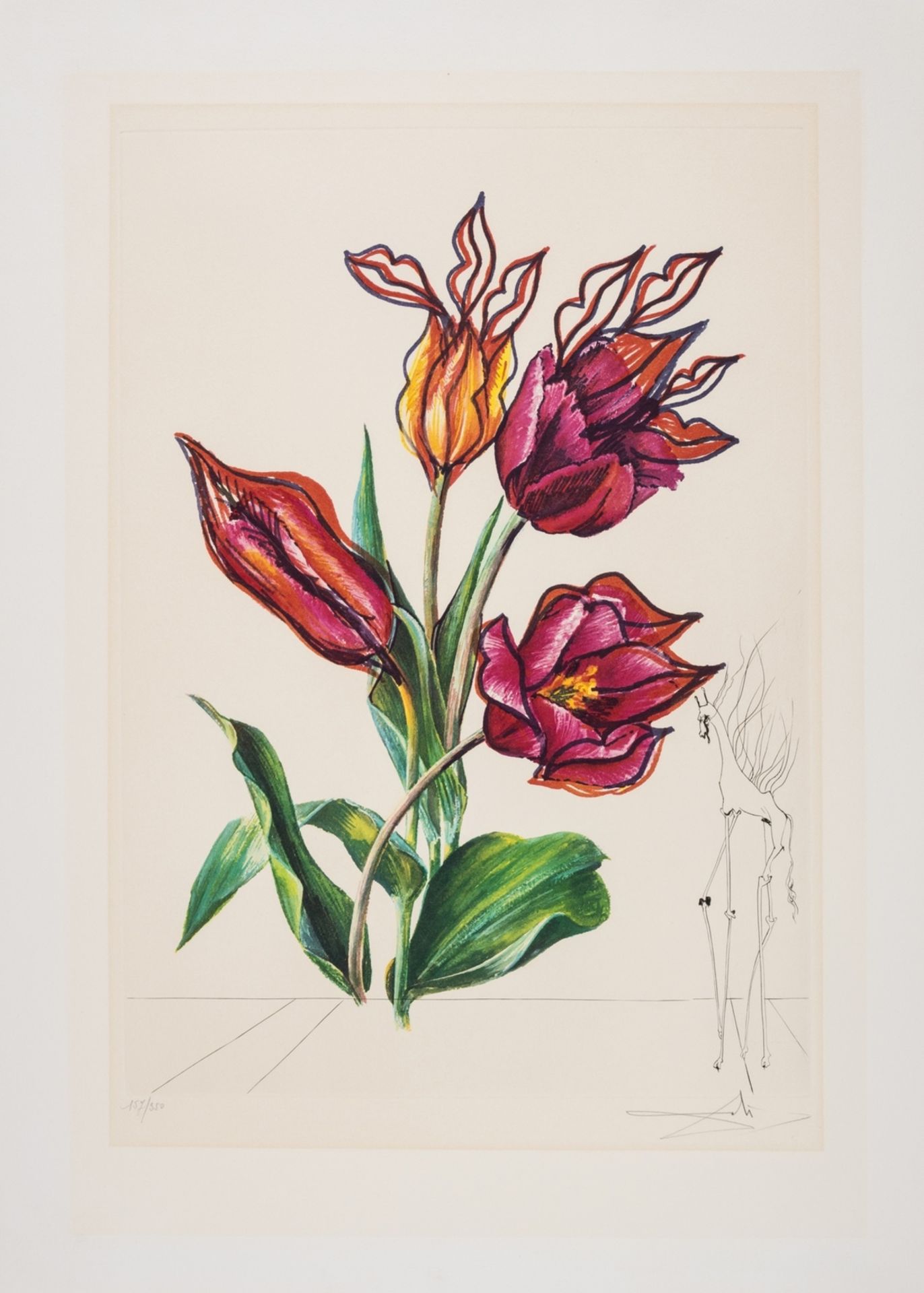 δ Salvador Dalí (1904-1989) Tulipa crudeliter basiantes, from Surrealistic Flowers (Field 72-7E; …