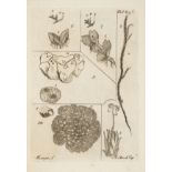 Botany.- Dickson (James) Fasciculus plantarum cryptogamicarum Britanniae Lusitanorum botanicorum, …