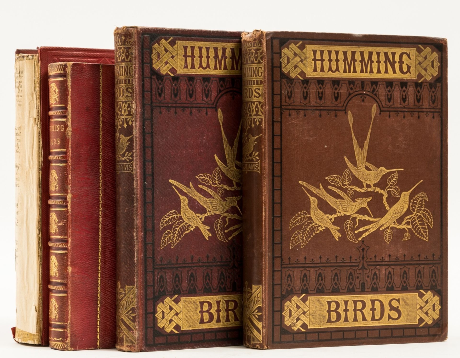 Hummingbirds.- Martin (W. C. L.) A General History of Humming-birds, or the Trochildae, first …
