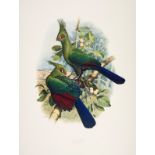 Cooper (William) and Joseph Forshaw, Turacos. A Portfolio of all Species, number 43 of 290 copies, …