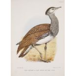 Africa.- Horsbrugh (Major Boyd) The Game-Birds and Water-Fowl of South Africa, 1912.