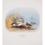 Millais (John Guille) The Natural History of British Surface-feeding Ducks, number 40 of 600 large …