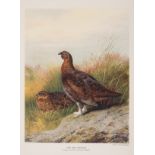 Britain.- Millais (John Guille) The Natural History of British Game Birds, first edition, one of …