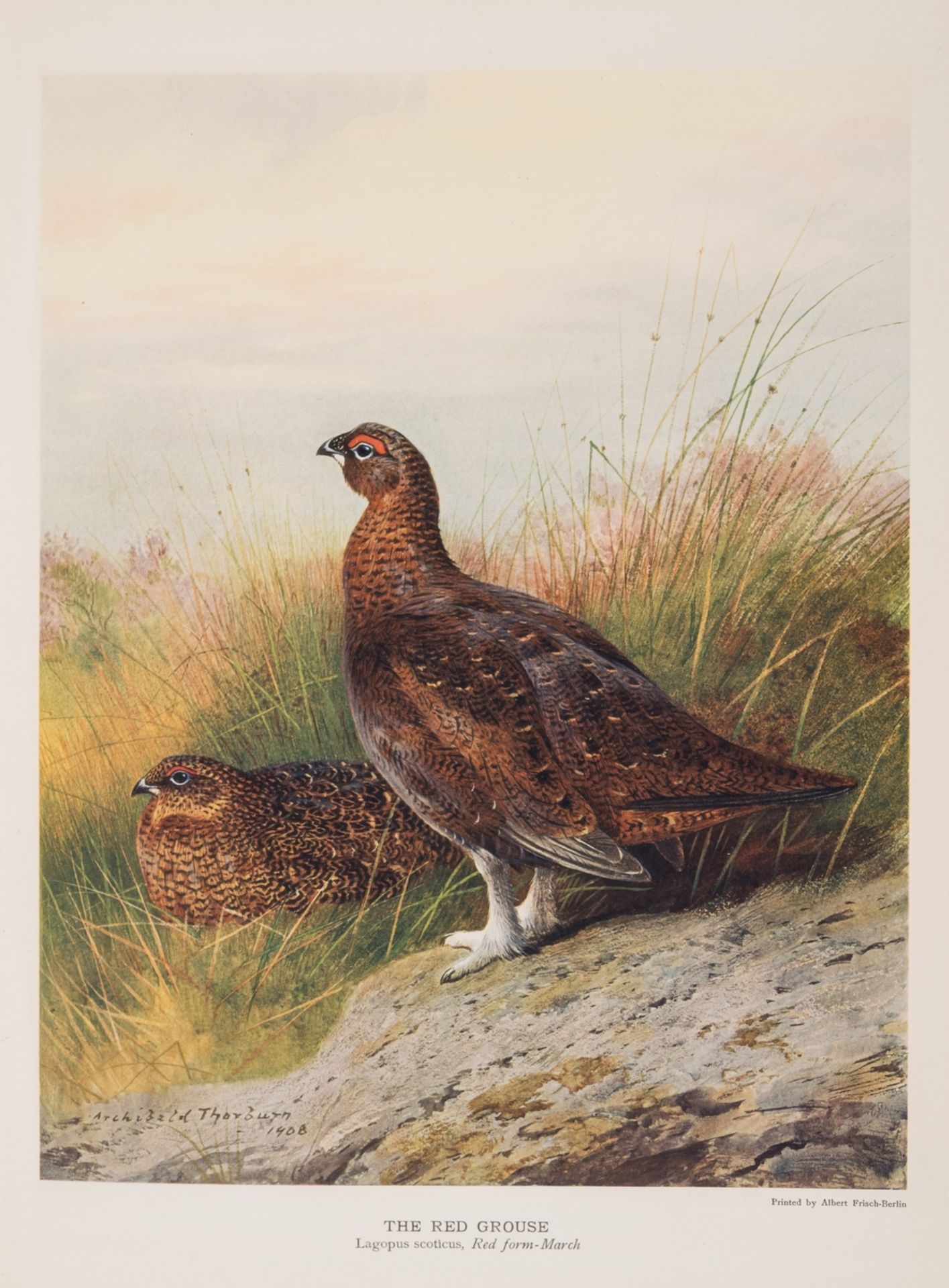 Britain.- Millais (John Guille) The Natural History of British Game Birds, first edition, one of …