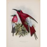 Dresser (Henry Eeles) Monograph of the Meropidae, or Family of Bee-eaters, first edition, 1884-87