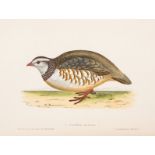 Chenu (Jean Charles) Ornithologie de Chasseur, first edition, Paris, 1870.