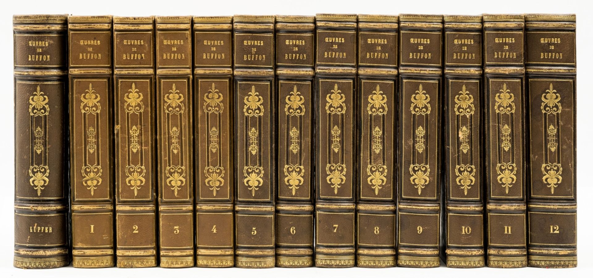 Buffon (G.L.M.L., Comte de) Oeuvres Completes de Buffon, 13 vol., edited by M. Flourens, Paris, …