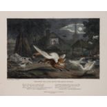 Baynes (Thomas Mann) Adventures of a Fox by Moonlight, R. Ackermann, 1836.