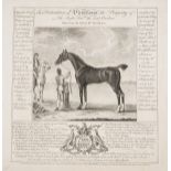 [Cheny (John) and Thomas Butler, publishers]. [Horses & Their Pedigrees], Cheny & Butler, …