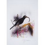 Steadman (Ralph) Extinct Boids, number 87 of 150 copies signed by Steadman, with loose signed and …