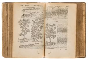 Herbal.- Fuchs (Leonhart) De historia stirpium commentarii insignes, Lyon, Balthazar Arnoullet, …
