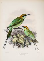 Dresser (Henry Eeles) Monograph of the Meropidae, or Family of Bee-eaters, first edition, 1884.