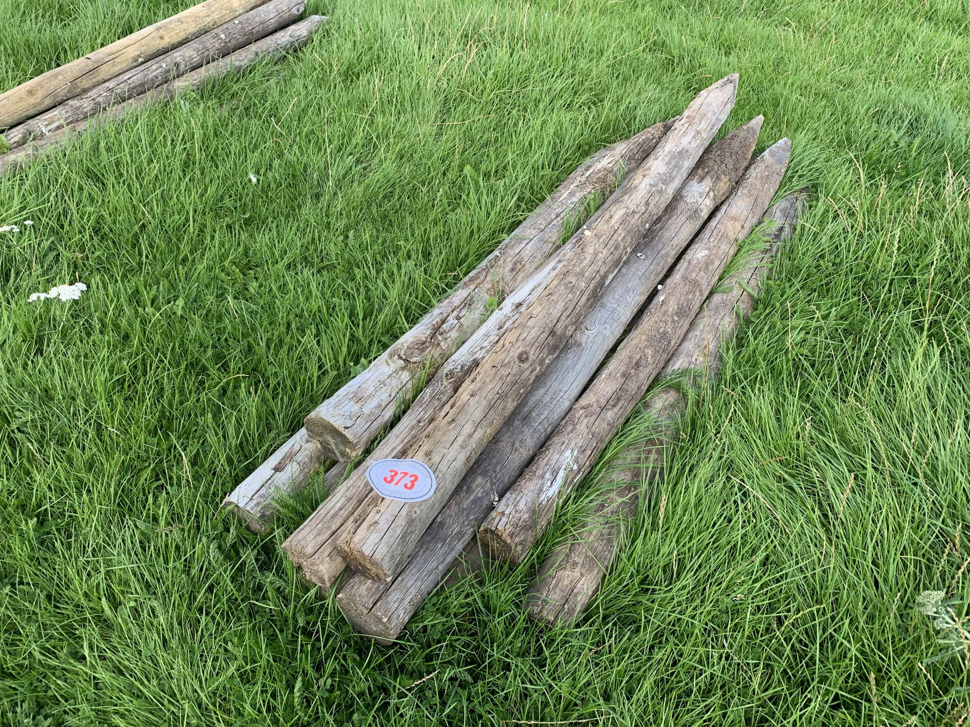 10 fence posts