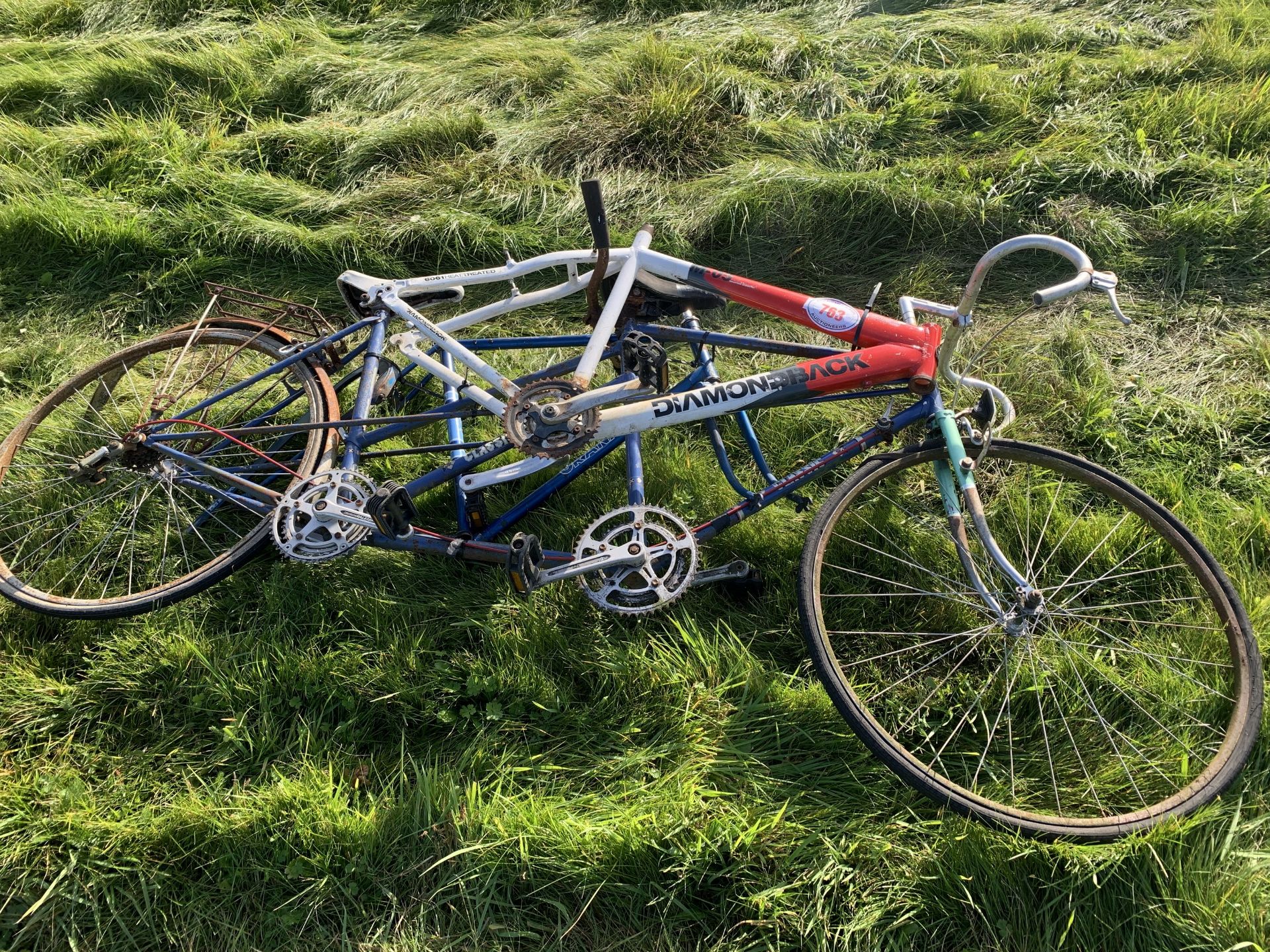 Tandem bike & frames