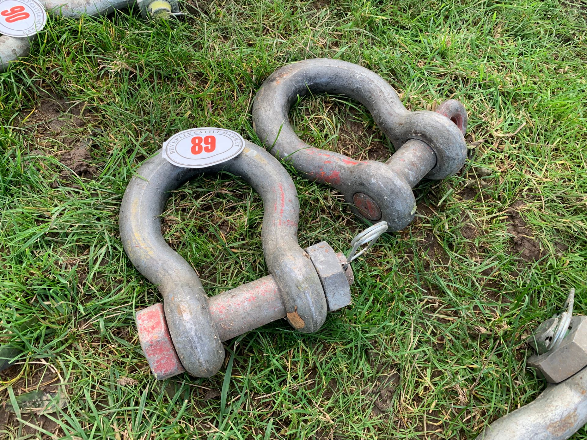 Pair of large shackles