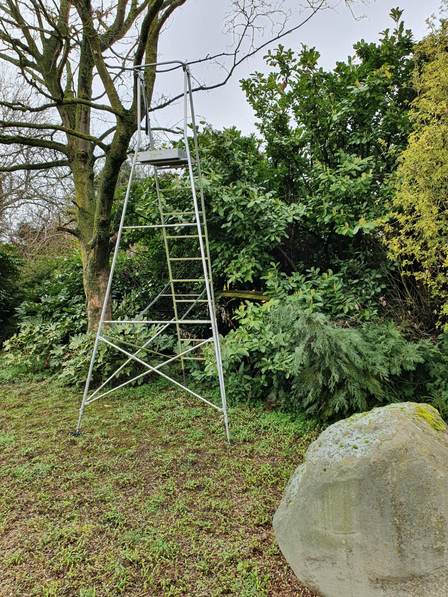 Alloy ladder with platform - Image 2 of 2