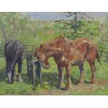 Nancy Alexis Brackett, an oil on board of two horses grazing, signed and framed, 45 x 35cm