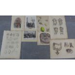 A collection of anatomy prints, an engraving of Roslin Castle by Munro Bell and Shaking he Nets,