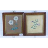 A pair of botanical prints contained within rosewood frames, under glass, 24 x 27cm (2)