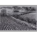 March - Something is in the fields. Mist? Rain? Smoke? Spring, framed print, 10 x 7cm