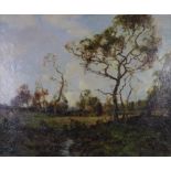 Annie Young, Wooded Landscape, oil on canvas, signed and framed, 55 x 45cm