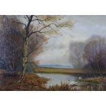 Late 19th century school, swans on the lake, oil on canvas, signed indistinctly, giltwood frame,