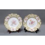 Pair of 19th century Rockingham porcelain cabinet plates (2)
