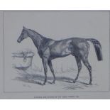 Surplice - The Winner of the Derby Stakes, print, framed under glass, 37 x 29cm including frame