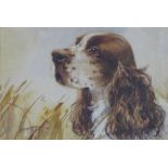 L W Fraser, head study of a spaniel, watercolour, signed, framed under glass, 23 x 17cm