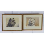 L W Fraser, two head study watercolours of a terriers, signed, framed under glass, 23 x 17cm (2)