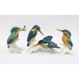A group of three Karl Ens porcelain kingfisher figures (3