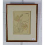 After J. Foord, 'The Parrot Tulip', coloured print, framed under glass, siz e overall 40 x 48cm