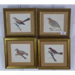 Set of four coloured bird prints in glazed giltwood frames, size overall 25 x 22cm (4)