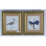 Pair of bird prints, glazed frames size overall 30 x 35cm