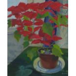 Isabel Traill, Poinsettia, gouache, signed and framed under glass, 40 x 50cm