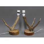 Pair of antler table lamps on wooden bases, 27cm (2)