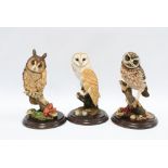 Three Country Artists owls, 'Little Owl' CA398, 'Barn Owl' CA431, and 'Long Eared Owl' CA692,