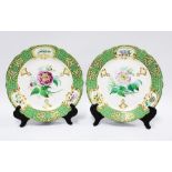 Pair of late 18th / early 19th century English porcelain cabinet plates, handpainted with flowers