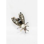 Early 20th century bug brooch with gemset eyes and banded hardstone body, 2.5cm long