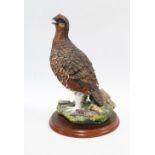 Border Fine Arts 'Game Birds Red Grouse' A1279, 26cm, boxed