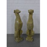 Pair of composite garden greyhounds, 75cm high (A/F). (2)