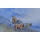 Scottish School watercolour of highland cows, signed with a monogram, 19 x 12cm