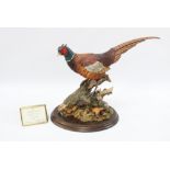 Country Artists 'Autumn Splendour' pheasant by Keith Sherwin, limited edition 89/350 with plaque, 28