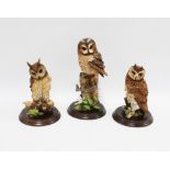 Country Artists Long Eared owl, CA397, Tawny Owl with Honeysuckle CA441 & Short Eared Owl CA396,