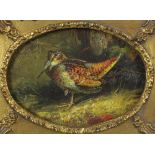 Reproduction painting of a bird in a moulded frame, size overall 28 x 24cm